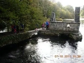 Ballykine House Отель Конг